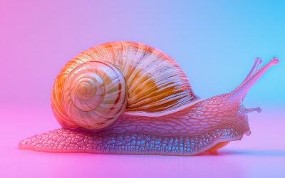 La bave d’escargot en K-beauty