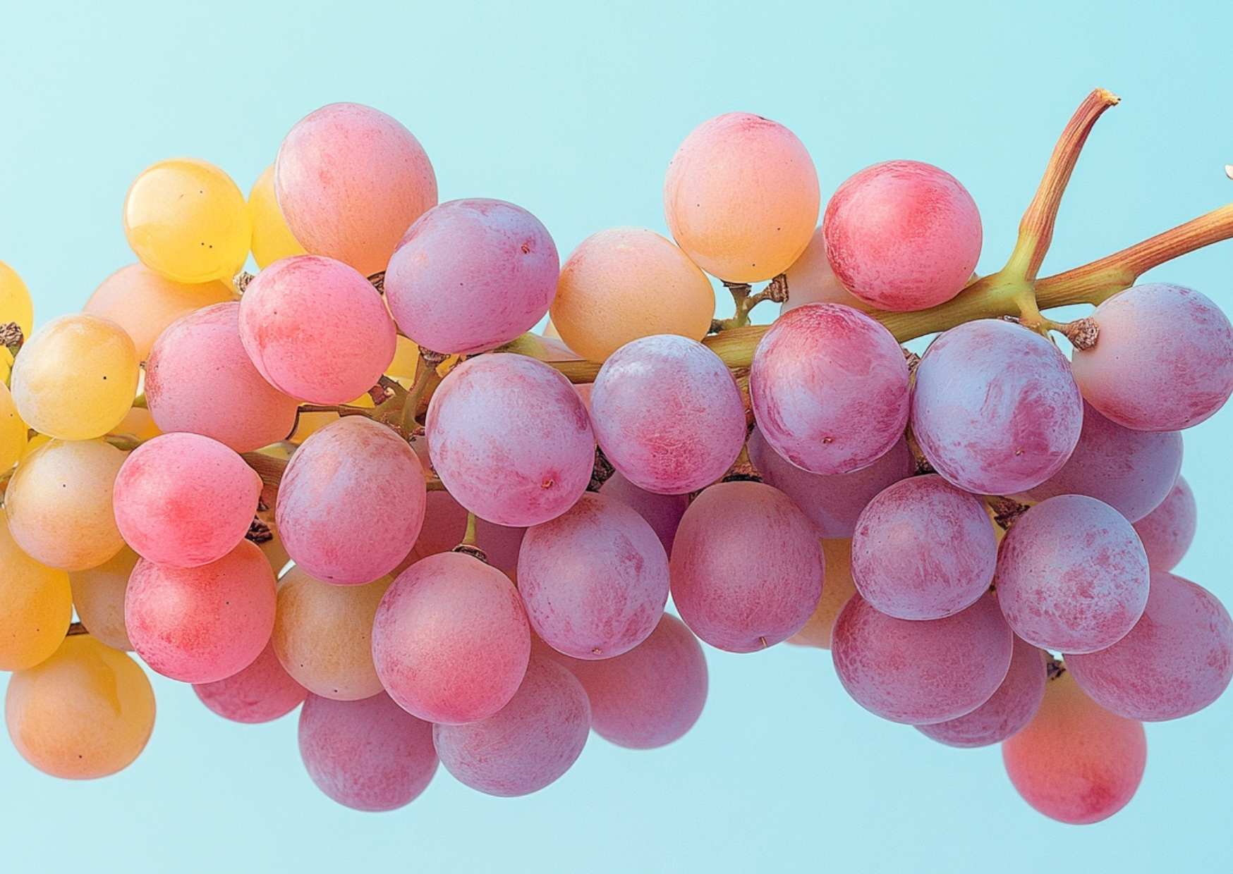 huile_pepin_raison_acne huile_pepin_raison_acne