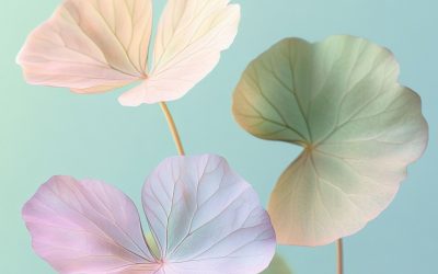 Le “cica” dans la K-Beauty : l’ingrédient apaisant du moment