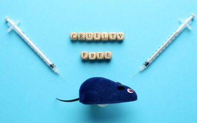 Les marques de K-Beauty cruelty-free : beauté sans cruauté
