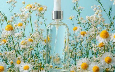 Lotion tonique à la rose et à la camomille : un soin doux et apaisant