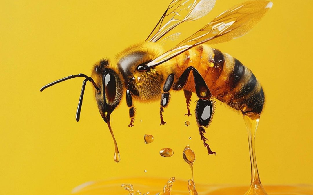 Pourquoi les crèmes au miel sont-elles populaires en K-Beauty ?